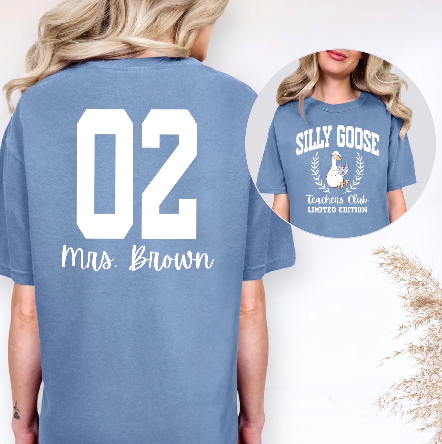 Silly Goose Teachers Club