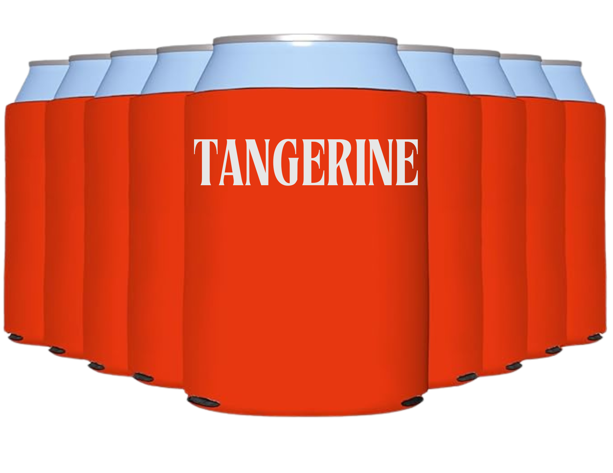 Bachelor Party Koozie